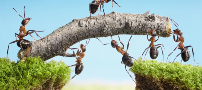 If You Struggle With A, Then Read This If You Struggle With A, Then Read This